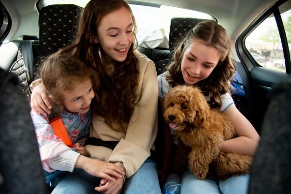 three-cute-girls-and-dog-in-the-car-2025-01-09-06-23-12-utc